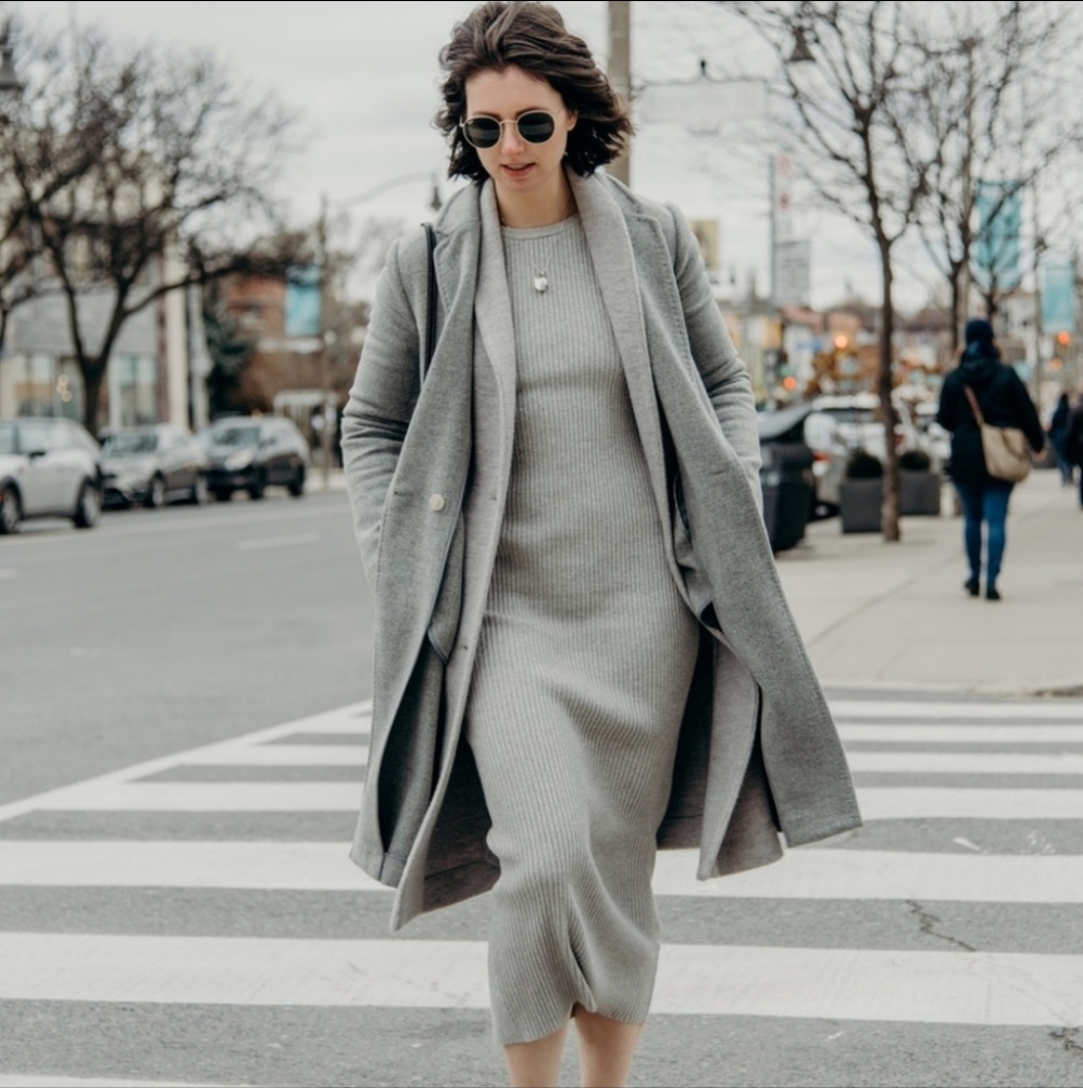 Aritzia Streep Dress The Group Babaton